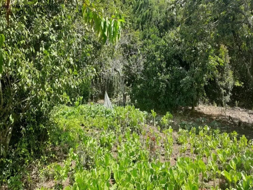 Terreno / Lote à venda, 1845m2 em Nova Petropolis - RS - imagem 5 Foto 5 de Terreno / Lote à venda, 1845m2 em Nova Petropolis - RS