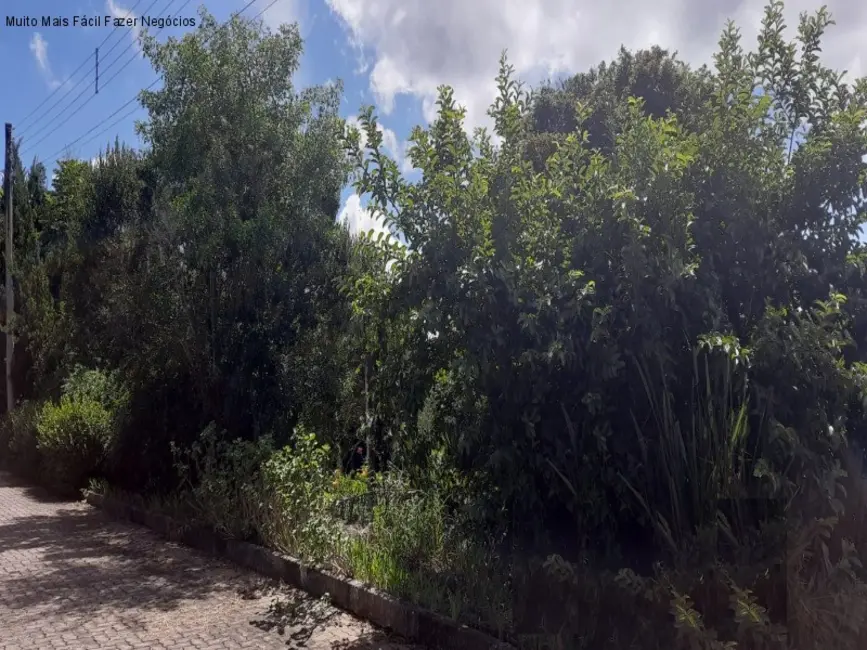 Terreno / Lote à venda, 1845m2 em Nova Petropolis - RS - imagem 1 Foto 1 de Terreno / Lote à venda, 1845m2 em Nova Petropolis - RS