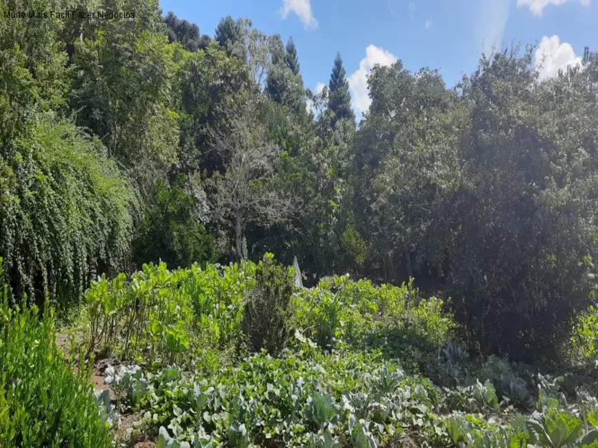 Terreno / Lote à venda, 1845m2 em Nova Petropolis - RS - imagem 3 Foto 3 de Terreno / Lote à venda, 1845m2 em Nova Petropolis - RS