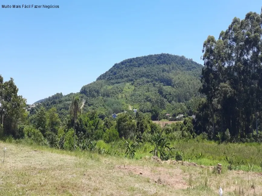 Terreno / Lote à venda, 532m2 em Picada Cafe - RS - imagem 4 Foto 4 de Terreno / Lote à venda, 532m2 em Picada Cafe - RS