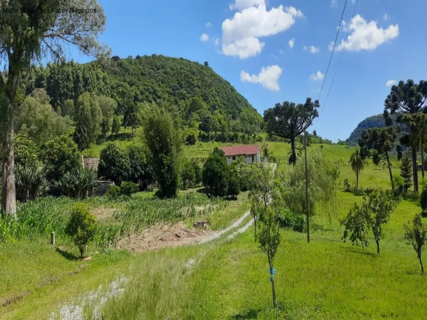Foto 1 de Sítio / Rancho com 4 quartos à venda, 300m2 em Nova Petropolis - RS