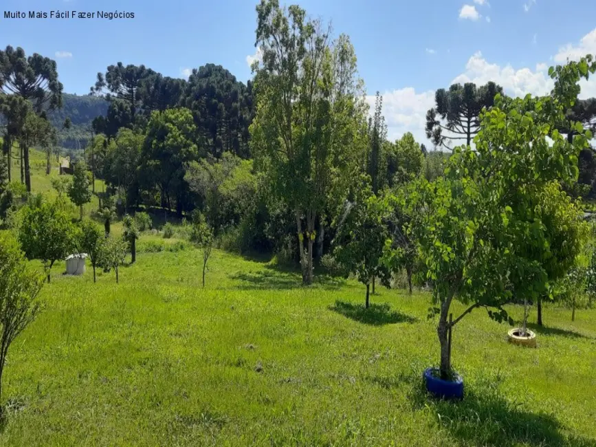 Foto 8 de Sítio / Rancho com 4 quartos à venda, 300m2 em Nova Petropolis - RS