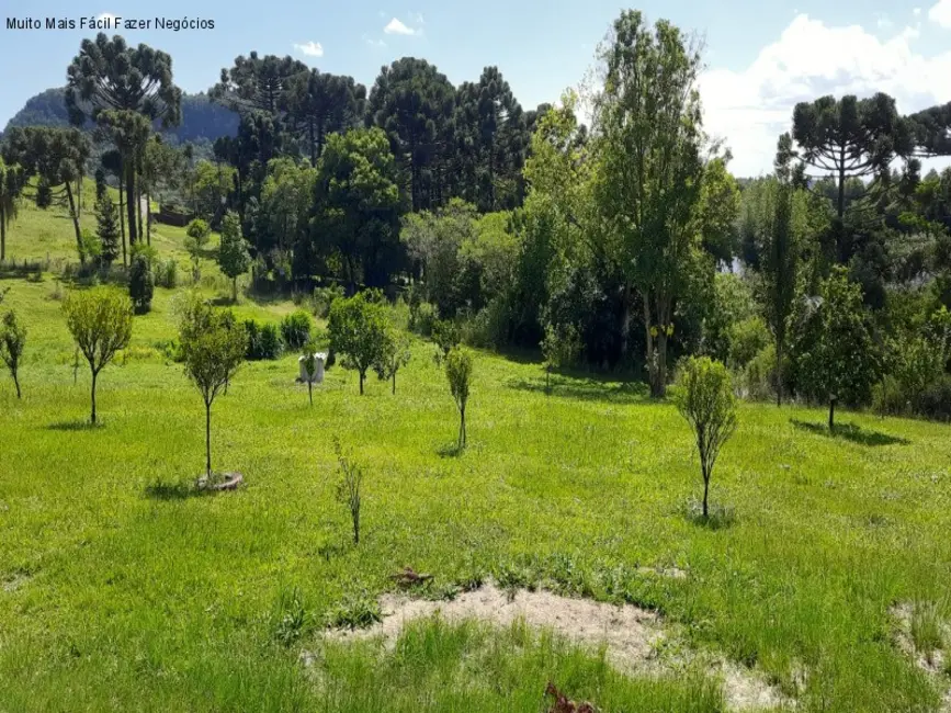 Foto 6 de Sítio / Rancho com 4 quartos à venda, 300m2 em Nova Petropolis - RS