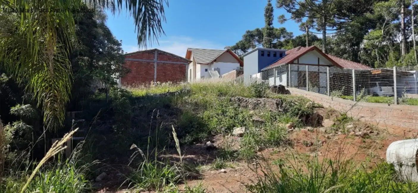 Foto 1 de Terreno / Lote à venda, 380m2 em Nova Petropolis - RS