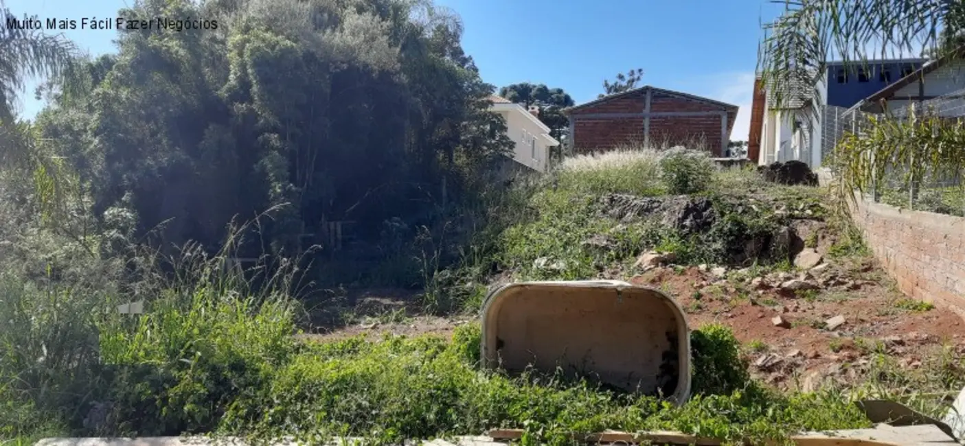 Foto 2 de Terreno / Lote à venda, 380m2 em Nova Petropolis - RS