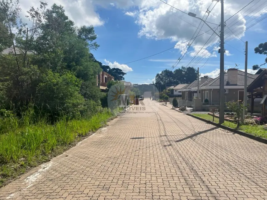 Foto 3 de Casa com 3 quartos à venda, 358m2 em Nova Petropolis - RS