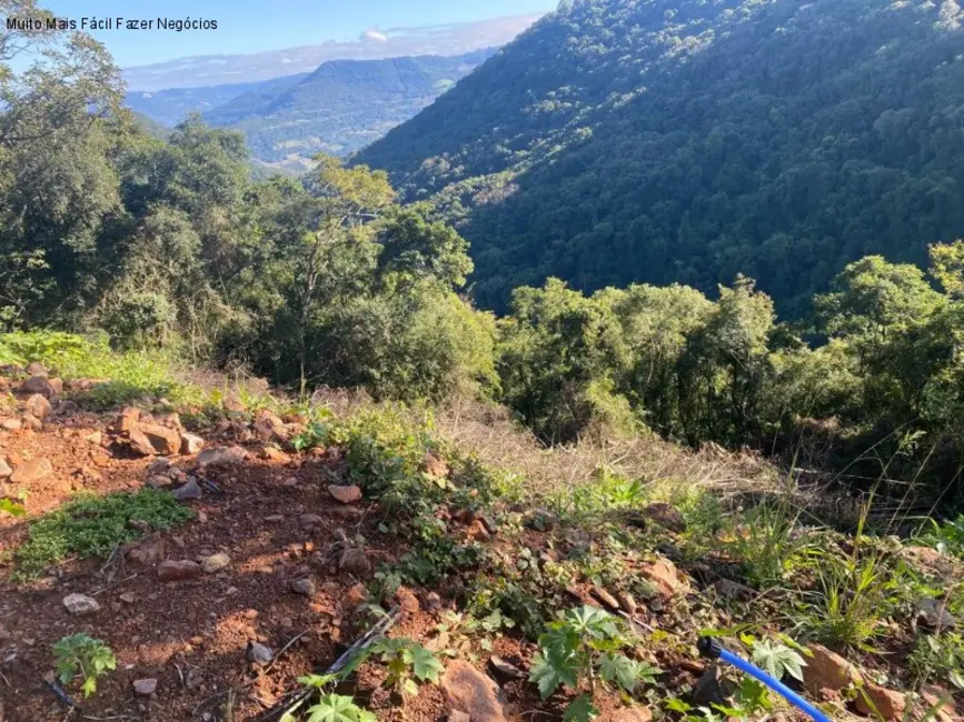 Foto 1 de Terreno / Lote à venda, 780m2 em Nova Petropolis - RS