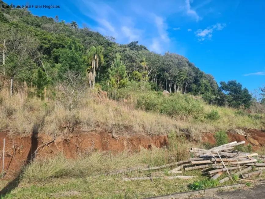 Foto 1 de Terreno / Lote à venda, 504m2 em Nova Petropolis - RS