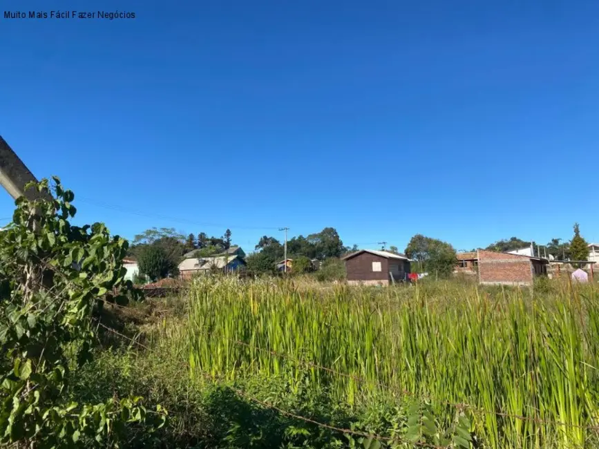 Foto 2 de Terreno / Lote à venda, 450m2 em Nova Petropolis - RS