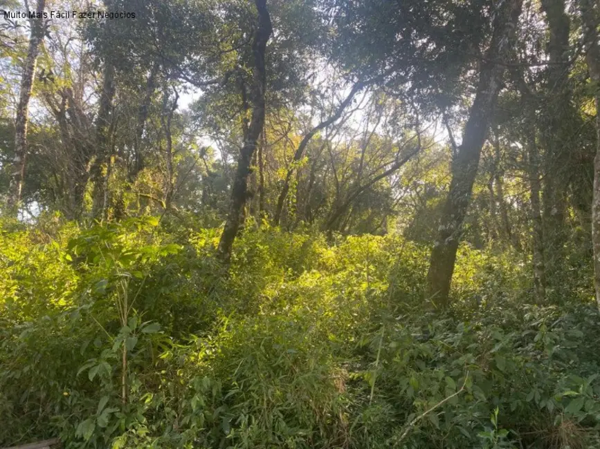 Terreno / Lote à venda, 684m2 em Nova Petropolis - RS - imagem 3 Foto 3 de Terreno / Lote à venda, 684m2 em Nova Petropolis - RS
