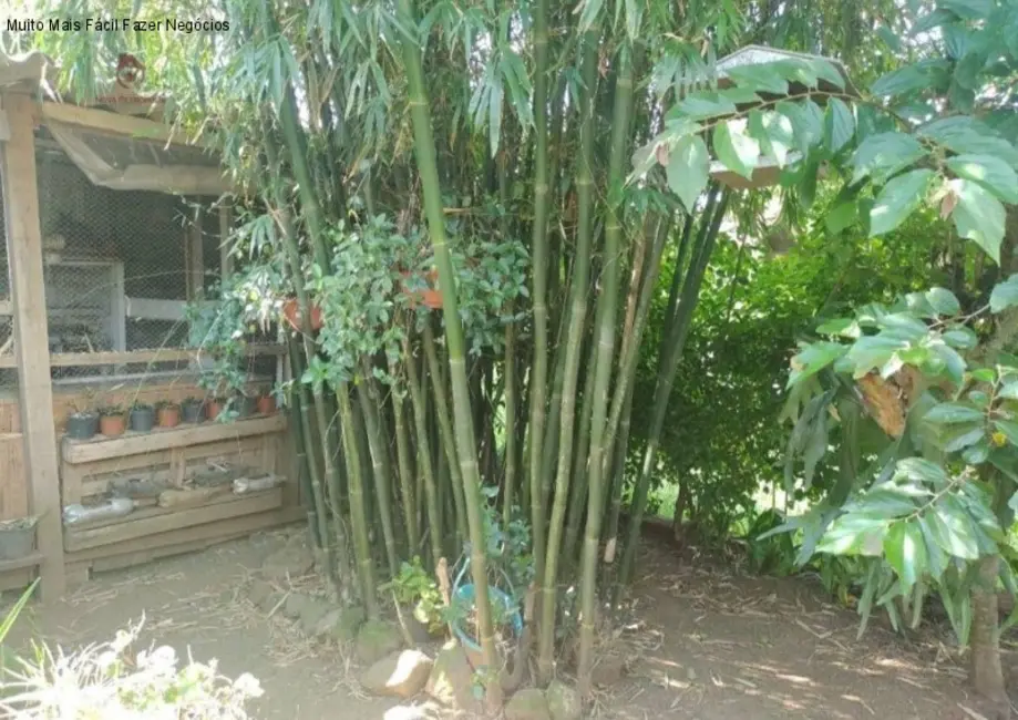 Casa com 2 quartos à venda, 68m2 em Nova Petropolis - RS - imagem 3 Foto 3 de Casa com 2 quartos à venda, 68m2 em Nova Petropolis - RS