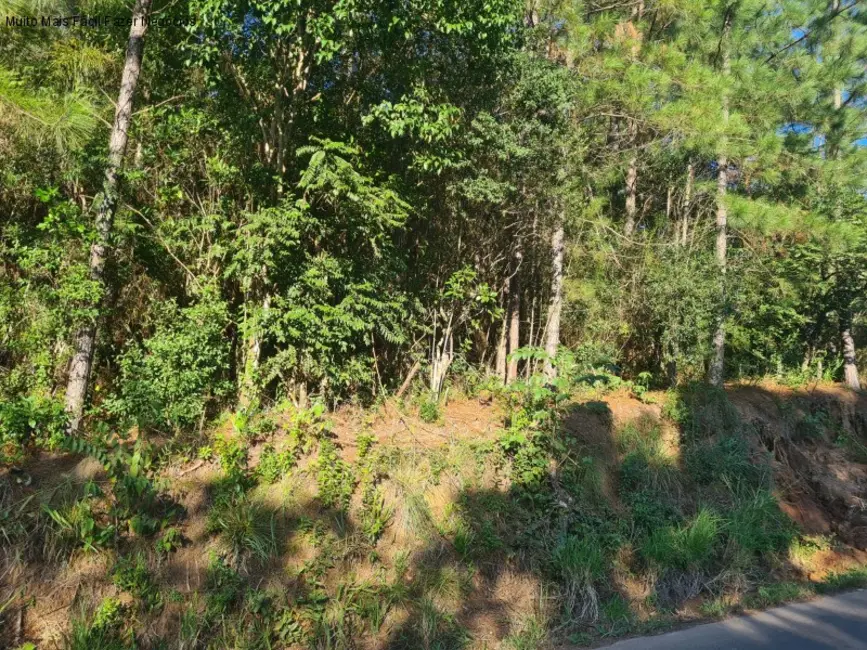 Terreno / Lote à venda em Nova Petropolis - RS - imagem 4 Foto 4 de Terreno / Lote à venda em Nova Petropolis - RS