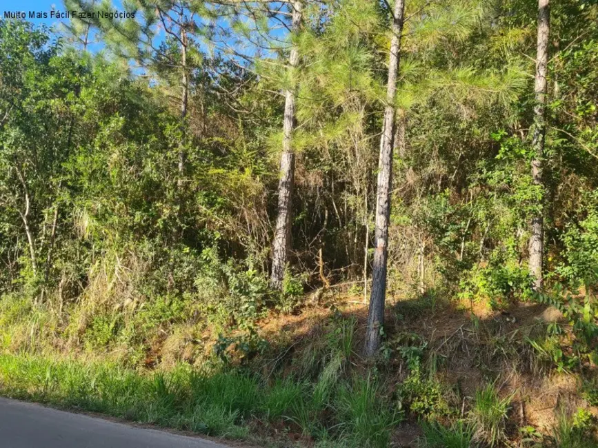 Terreno / Lote à venda em Nova Petropolis - RS - imagem 3 Foto 3 de Terreno / Lote à venda em Nova Petropolis - RS