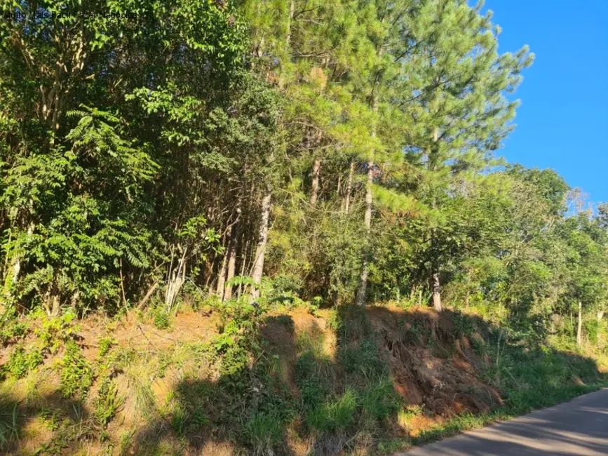 Terreno / Lote à venda em Nova Petropolis - RS - imagem 6 Foto 6 de Terreno / Lote à venda em Nova Petropolis - RS