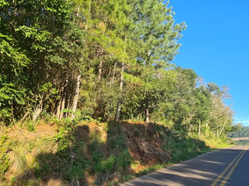 Foto 1 de Terreno / Lote à venda em Nova Petropolis - RS