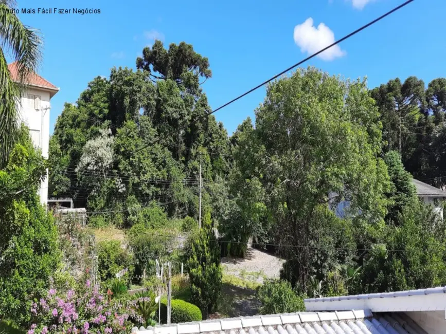 Casa com 1 quarto para alugar, 24m2 em Nova Petropolis - RS - imagem 2 Foto 2 de Casa com 1 quarto para alugar, 24m2 em Nova Petropolis - RS