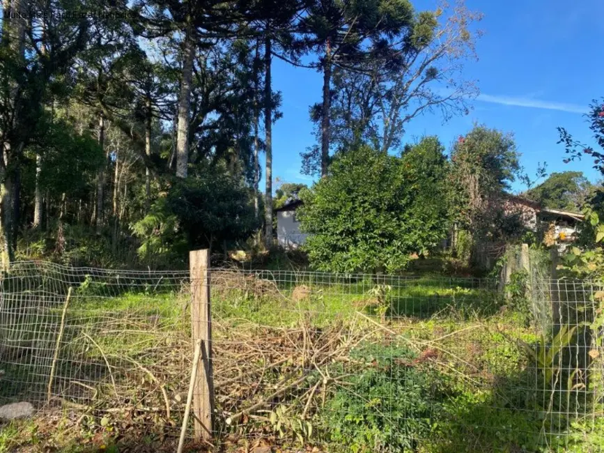 Foto 2 de Terreno / Lote à venda, 439m2 em Nova Petropolis - RS