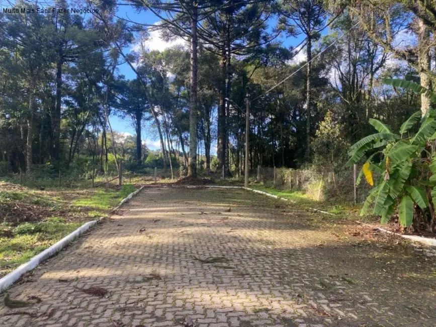 Terreno / Lote à venda, 439m2 em Nova Petropolis - RS - imagem 6 Foto 6 de Terreno / Lote à venda, 439m2 em Nova Petropolis - RS
