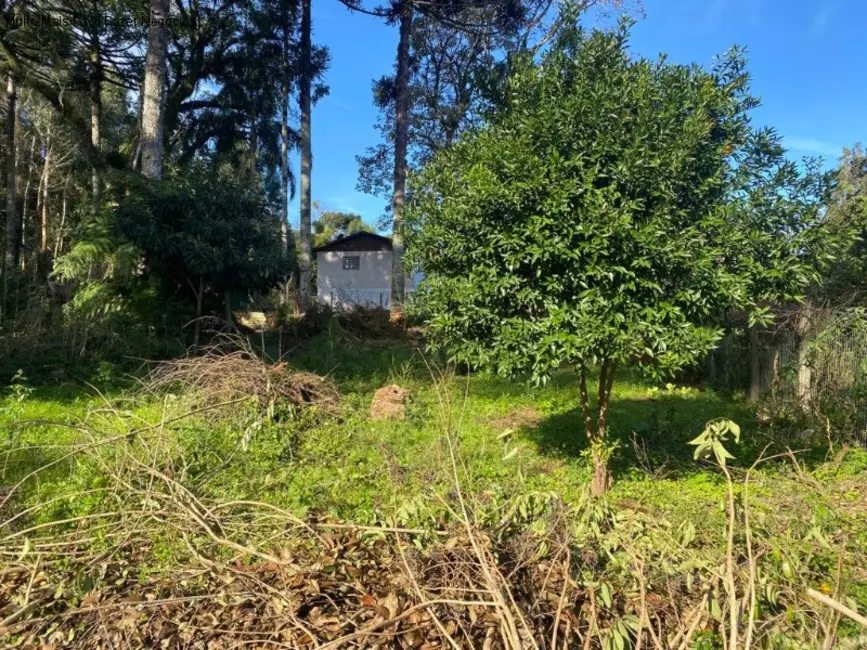 Foto 1 de Terreno / Lote à venda, 439m2 em Nova Petropolis - RS