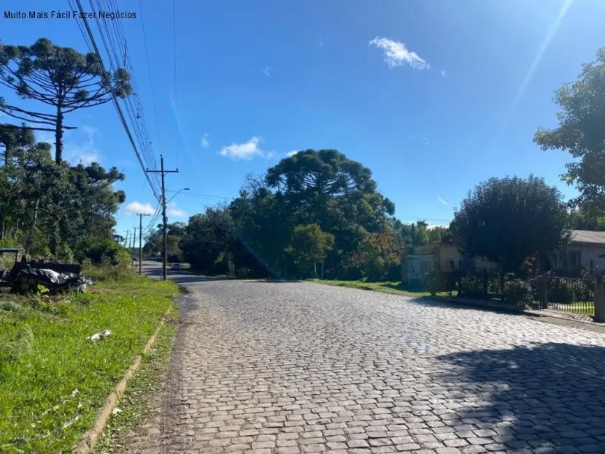 Terreno / Lote à venda, 512m2 em Nova Petropolis - RS - imagem 5 Foto 5 de Terreno / Lote à venda, 512m2 em Nova Petropolis - RS