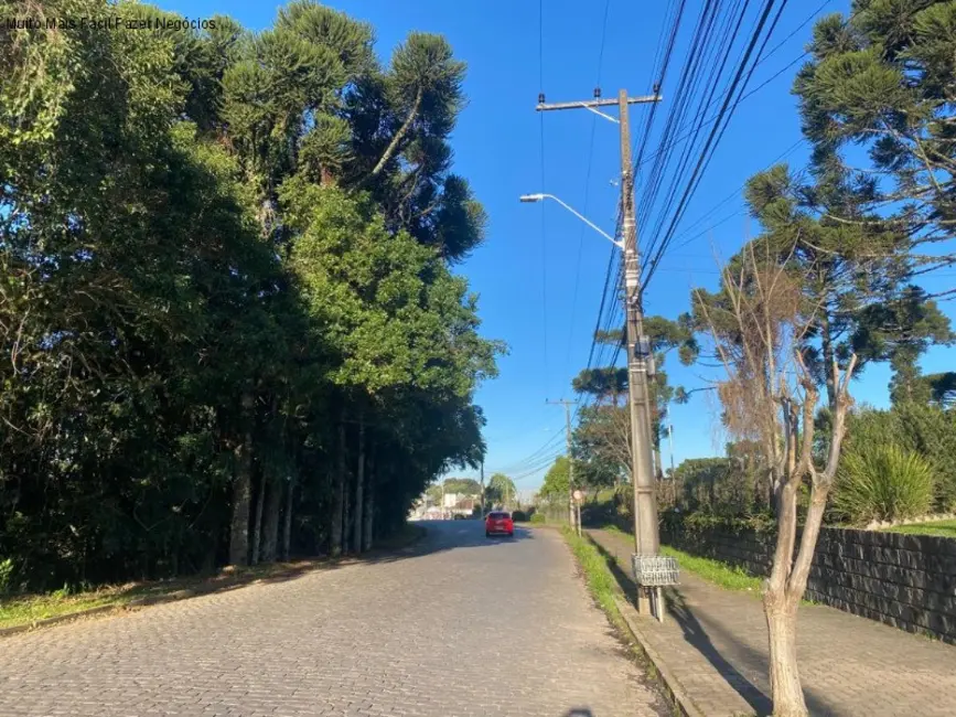 Foto 3 de Armazém / Galpão à venda, 264m2 em Nova Petropolis - RS