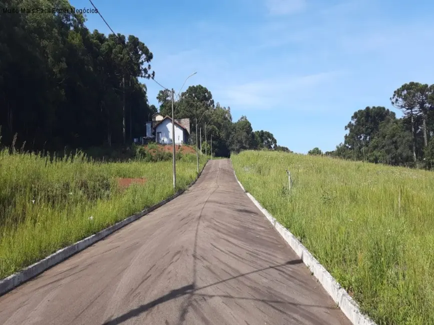Foto 5 de Terreno / Lote à venda, 446m2 em Nova Petropolis - RS