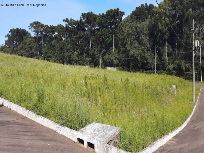 Foto 1 de Terreno / Lote à venda, 446m2 em Nova Petropolis - RS