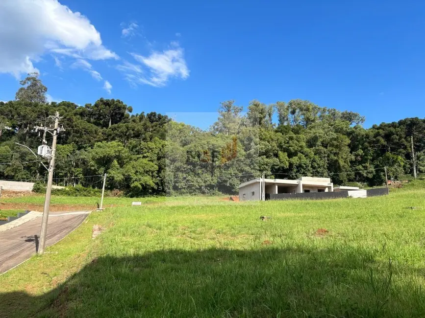 Foto 5 de Terreno / Lote à venda, 446m2 em Nova Petropolis - RS