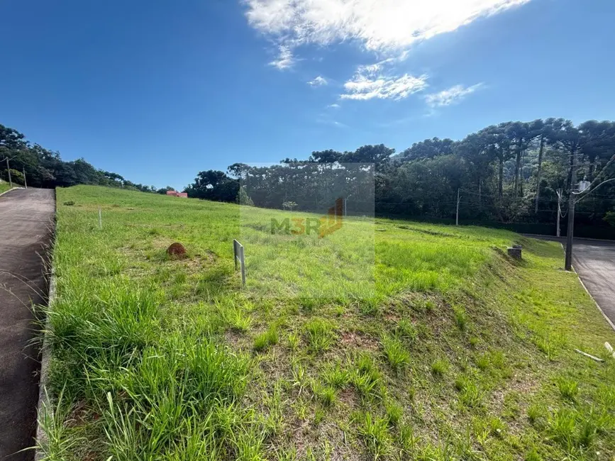 Foto 2 de Terreno / Lote à venda, 446m2 em Nova Petropolis - RS