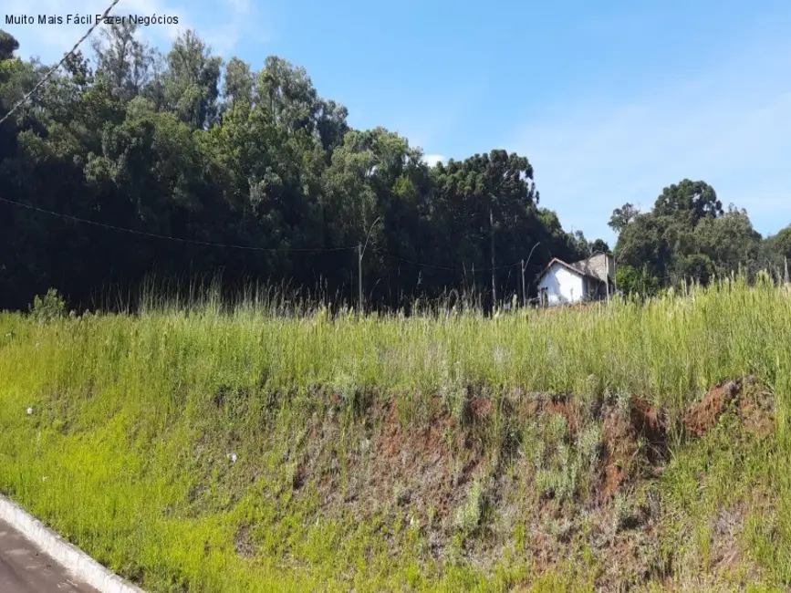 Foto 3 de Terreno / Lote à venda, 446m2 em Nova Petropolis - RS