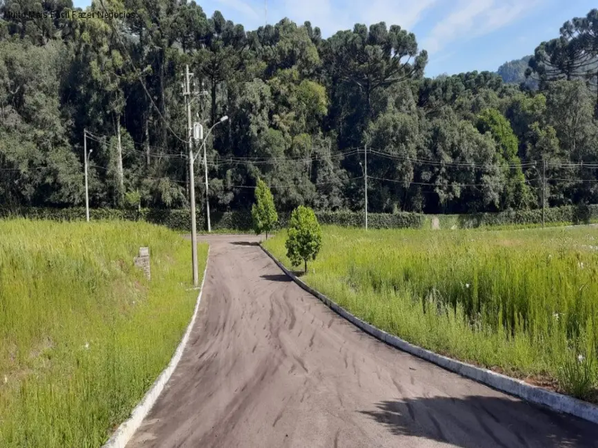 Foto 4 de Terreno / Lote à venda, 446m2 em Nova Petropolis - RS