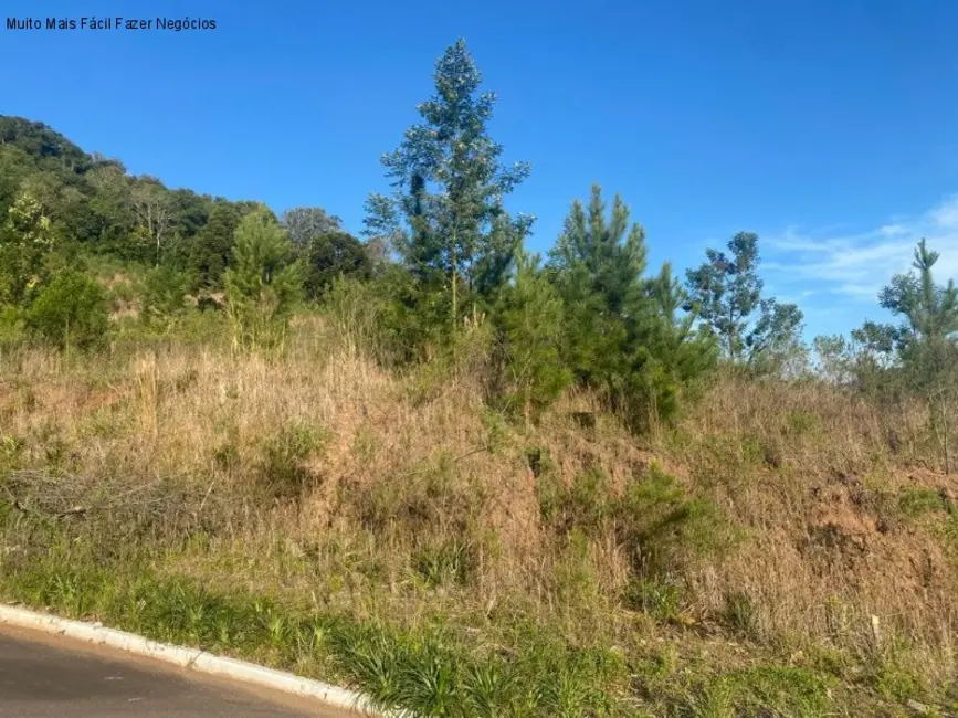 Foto 2 de Terreno / Lote à venda, 529m2 em Nova Petropolis - RS