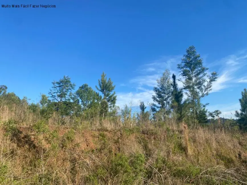 Terreno / Lote à venda, 529m2 em Nova Petropolis - RS - imagem 3 Foto 3 de Terreno / Lote à venda, 529m2 em Nova Petropolis - RS