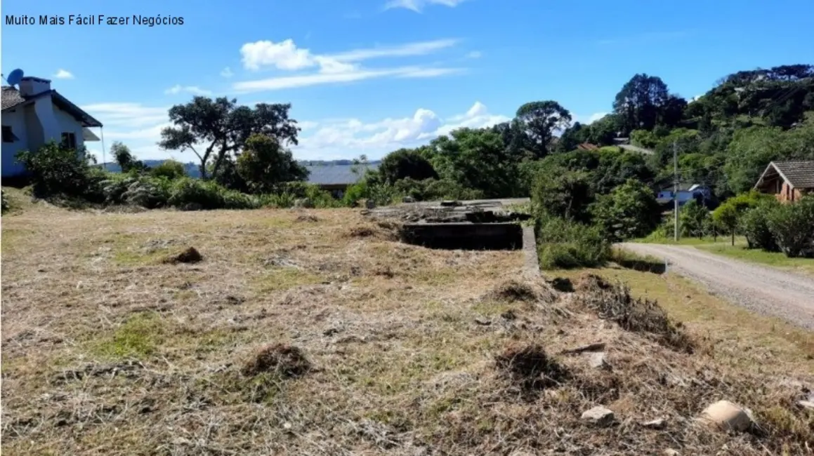 Foto 1 de Terreno / Lote à venda, 392m2 em Nova Petropolis - RS