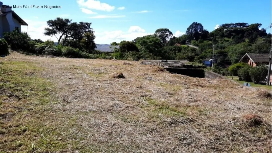 Terreno / Lote à venda, 392m2 em Nova Petropolis - RS - imagem 4 Foto 4 de Terreno / Lote à venda, 392m2 em Nova Petropolis - RS