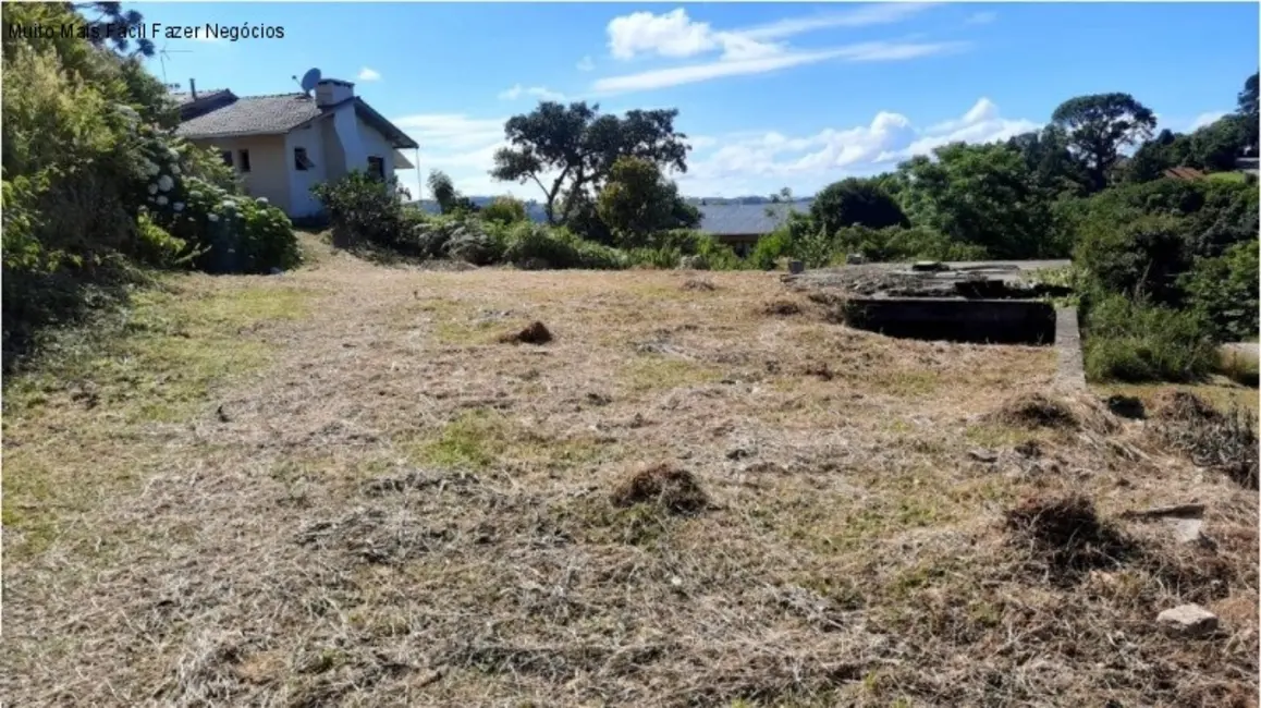 Terreno / Lote à venda, 392m2 em Nova Petropolis - RS - imagem 3 Foto 3 de Terreno / Lote à venda, 392m2 em Nova Petropolis - RS