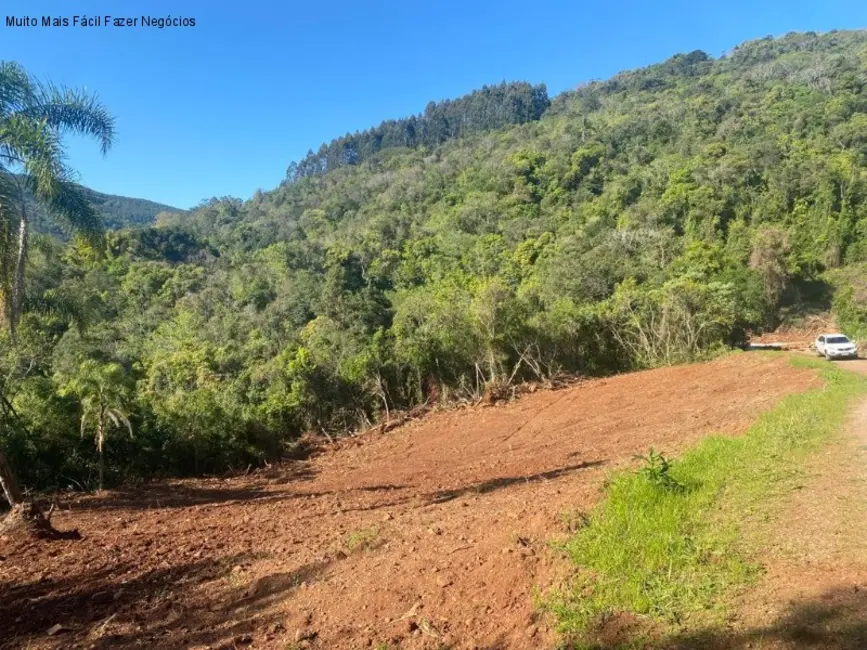 Foto 4 de Terreno / Lote à venda em Nova Petropolis - RS