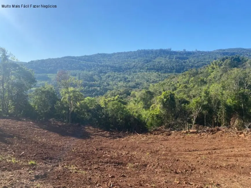 Foto 7 de Terreno / Lote à venda em Nova Petropolis - RS