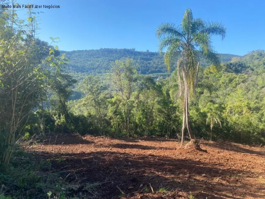 Foto 3 de Terreno / Lote à venda em Nova Petropolis - RS