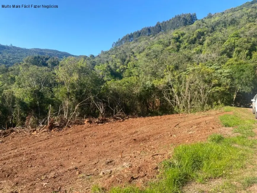 Foto 2 de Terreno / Lote à venda em Nova Petropolis - RS