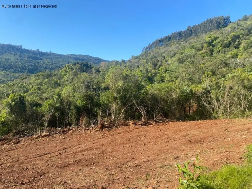Foto 5 de Terreno / Lote à venda em Nova Petropolis - RS
