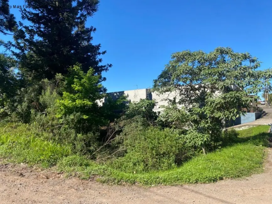 Foto 3 de Terreno / Lote à venda, 483m2 em Nova Petropolis - RS