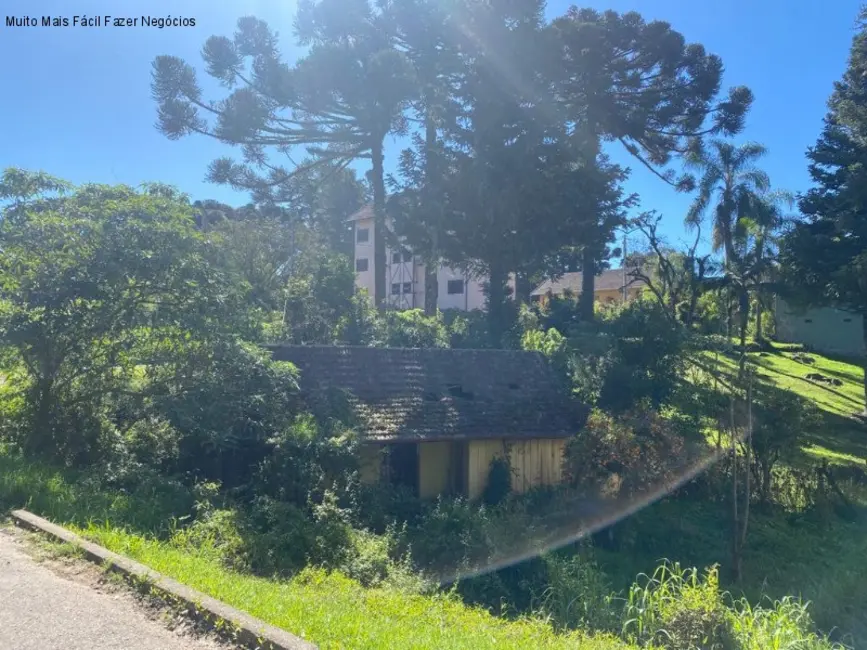 Foto 2 de Terreno / Lote à venda, 483m2 em Nova Petropolis - RS