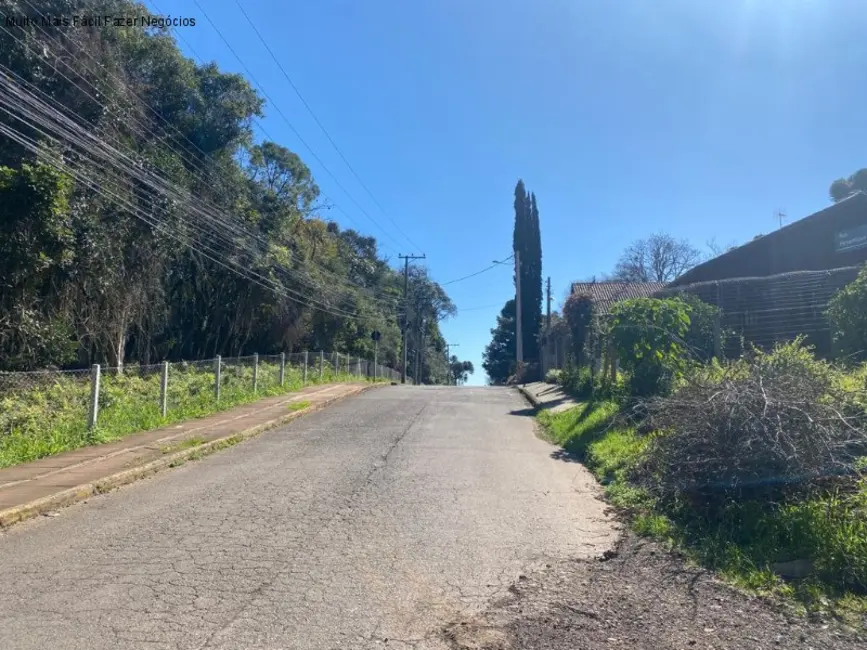 Foto 6 de Terreno / Lote à venda, 483m2 em Nova Petropolis - RS