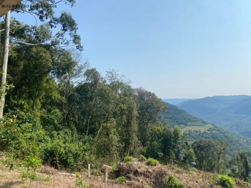Casa com 2 quartos à venda, 110m2 em Nova Petropolis - RS - imagem 8 Foto 8 de Casa com 2 quartos à venda, 110m2 em Nova Petropolis - RS