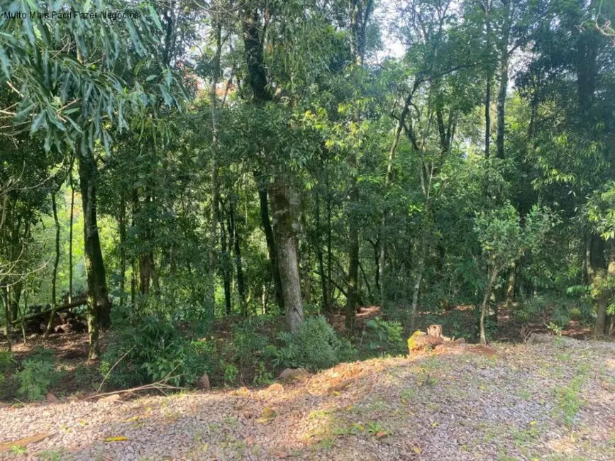 Sítio / Rancho com 2 quartos à venda, 150m2 em Nova Petropolis - RS - imagem 6 Foto 6 de Sítio / Rancho com 2 quartos à venda, 150m2 em Nova Petropolis - RS