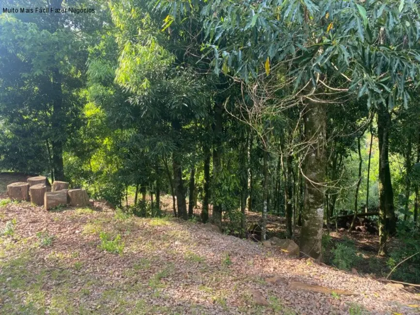 Sítio / Rancho com 2 quartos à venda, 150m2 em Nova Petropolis - RS - imagem 5 Foto 5 de Sítio / Rancho com 2 quartos à venda, 150m2 em Nova Petropolis - RS