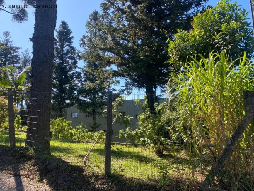 Terreno / Lote à venda, 561m2 em Nova Petropolis - RS - imagem 2 Foto 2 de Terreno / Lote à venda, 561m2 em Nova Petropolis - RS