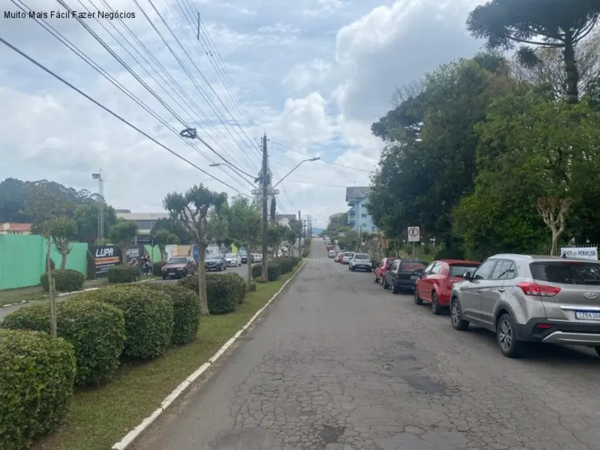 Foto 4 de Casa com 8 quartos à venda, 130m2 em Centro, Nova Petropolis - RS