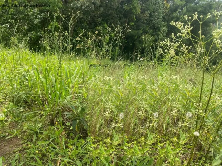 Foto 2 de Terreno / Lote à venda, 403m2 em Picada Cafe - RS